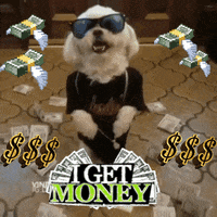 Digital art gif. A real dog wears a silver chain and sunglasses as it walks on its hind legs over cash money. Animated dollar signs and flying stacks of cash float around him. Text, &quot;I get money&quot;