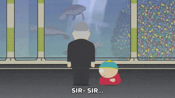 eric cartman aquarium GIF by South Park 
