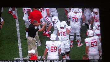 houston-cougar  GIF