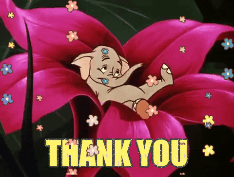Thank You GIFs - Get the best GIF on GIPHY