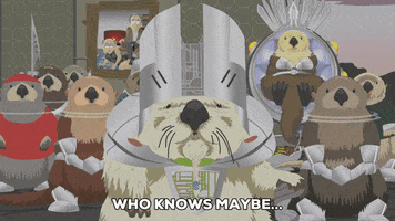 beaver GIF by South Park 