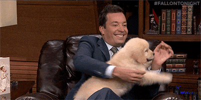 jimmy fallon puppy GIF by The Tonight Show Starring Jimmy Fallon