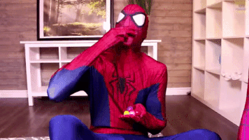 GIF by Webs & Tiaras