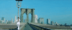 Shahrukh Khan Bollywood GIF by bypriyashah