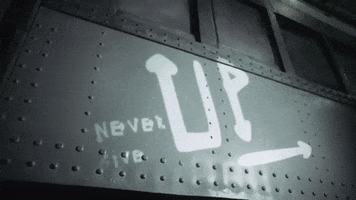 never give up motivation GIF by LION 