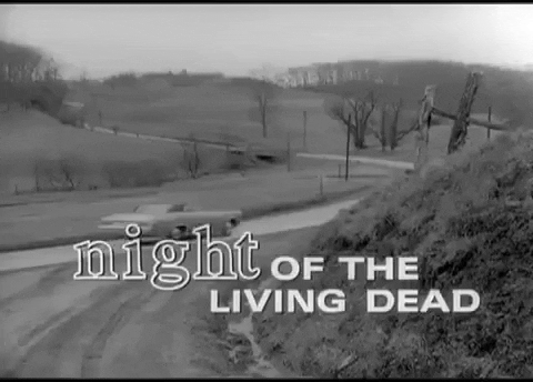 Giphy - night of the living dead horror GIF