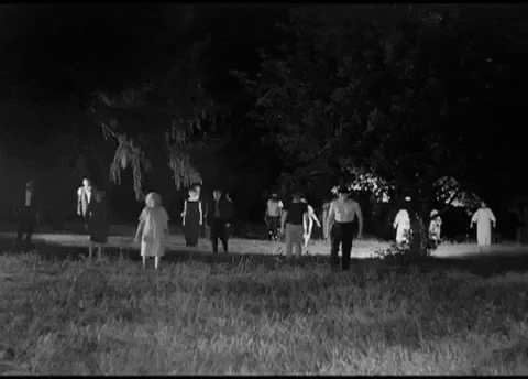 Image result for night of the living dead 1968 movie gif