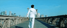 Shahrukh Khan Bollywood GIF by bypriyashah