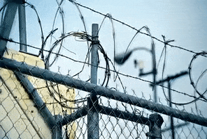 barbed wire mv GIF by Lady Gaga