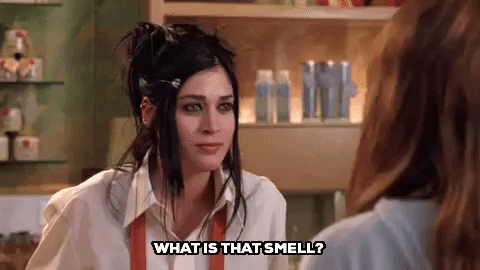  mean girls mean girls movie smell lizzy caplan janis ian GIF