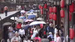 china travel GIF