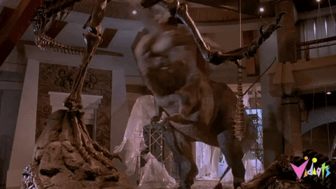 https://media1.giphy.com/media/l2v1P3KGhyWoa6bkrd/giphy.gif?cid=790b761116f2eeac3a2a450df0bc320a4dcd61f01d1c6cfa&rid=giphy.gif&ct=g