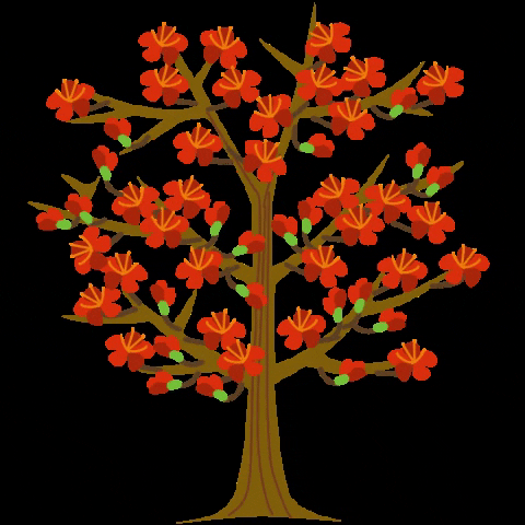 cynthiabauzonarre flower flowers tree trees GIF