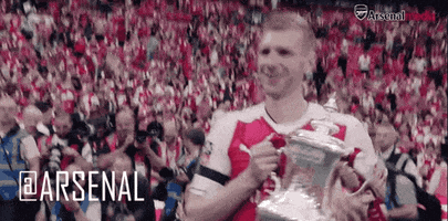 Fa Cup Yes GIF by Arsenal