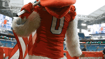 what's this college football GIF by Miami Hurricanes