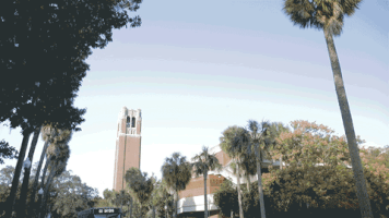 bus gators GIF by University of Florida