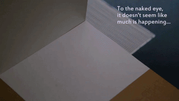 csailsocialnet  GIF