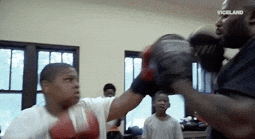 lastchancehigh viceland last chance high GIF