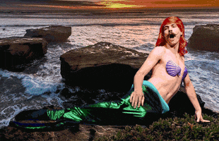 little mermaid wtf GIF by Sethward
