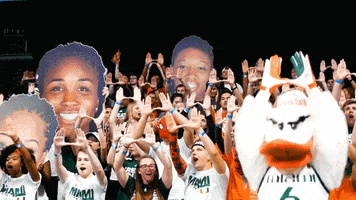 high five college basketball GIF by Miami Hurricanes