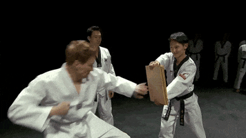 conan obrien taekwondo GIF by Team Coco