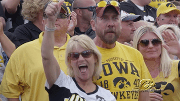 iowa hawkeyes football GIF by University of Iowa Hawkeyes Athletics