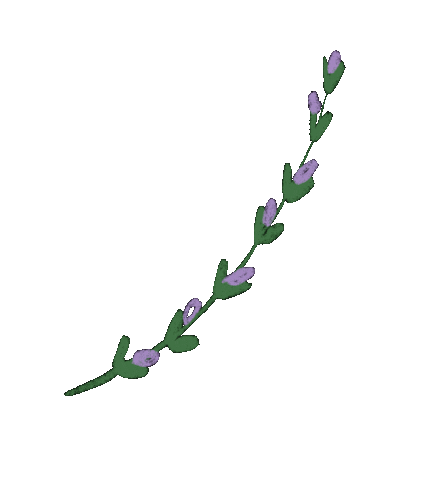 Flower Sticker