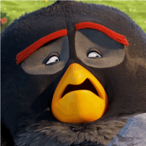 the angry birds movie no GIF by Angry Birds