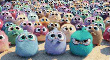 Cartoon gif. Birds from Angry Birds gathered in a countless sea of colorful fluff balls. Their large eyes furrow as they lower their heads in unison. Their brows furrow over their angry eyes as one teal bird freezes and holds a focused angry gaze. 