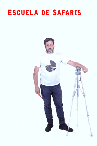 safaris  GIF