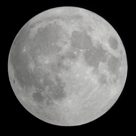 beccaaronson night moon jewelry diamonds GIF