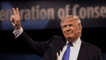 chrome extension trump GIF by Product Hunt