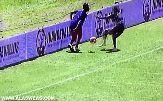Gifsports  GIF