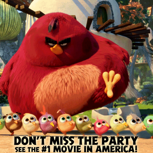 #1 terence GIF by Angry Birds