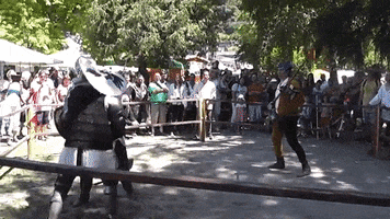 lupus sword hmb ferreuslupus GIF
