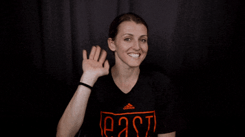 allie quigley hello GIF by WNBA