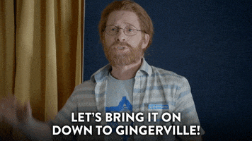 seth green ginger GIF by Broad City