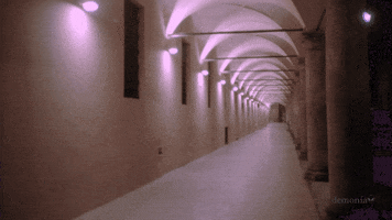 moniamazzanti  GIF