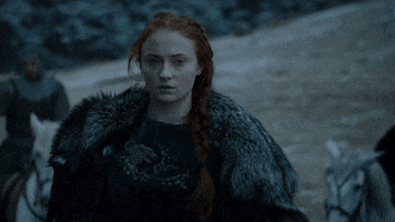 estebangonzalezdeleon game of thrones GIF