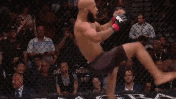 Excited Mighty Mouse GIF by UFC