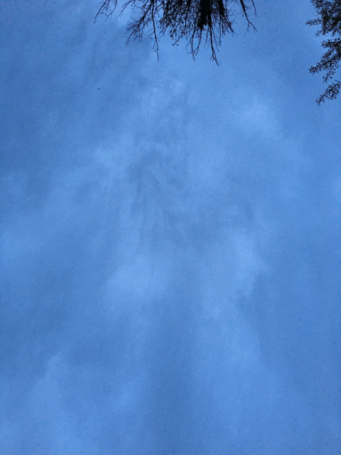 reinhardtrose #jesus GIF