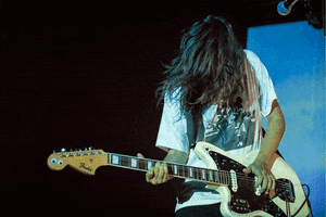 smh-imaging music chicago live music courtney barnett GIF