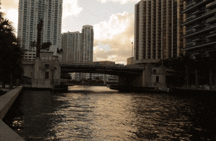 rolando  GIF