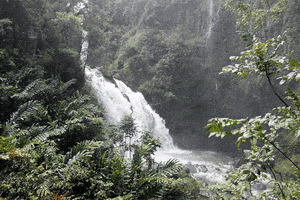 geoffrey waikini waterfall maui hawaii GIF