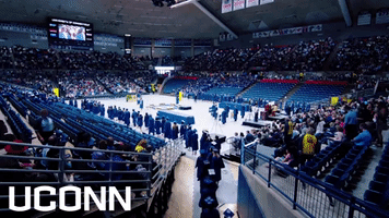 Graduation Commencement GIF by UConn