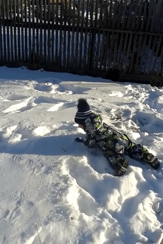 Animated GIF