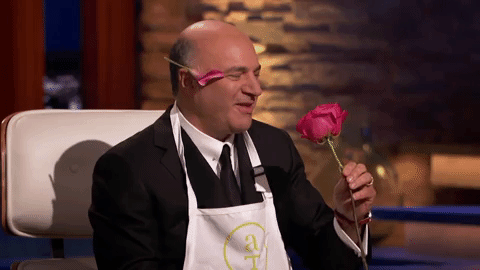 Shark Tank Kevin Oleary Gif By Abc Network Find Share On Giphy
