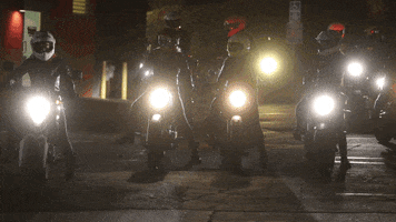 mayasugarman mayasugarman GIF