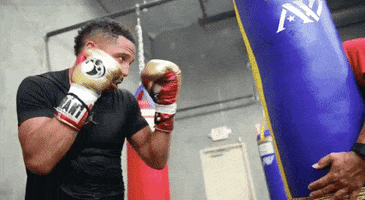 One Punch Boxer GIF by Andre Ward