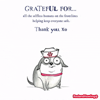 Dog Thank You GIF by Red & Howling